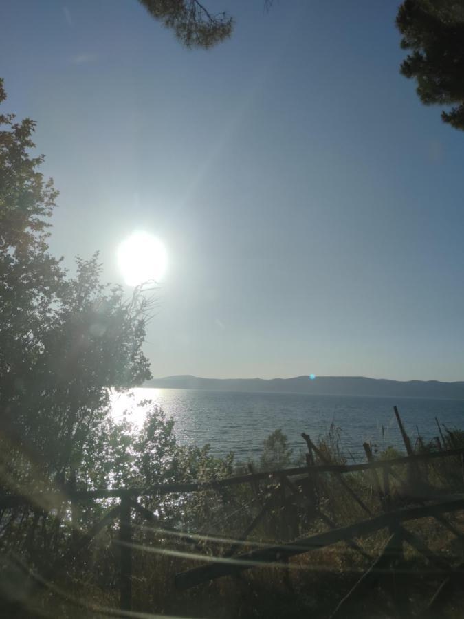 Civico 37 Villa Trevignano Romano Dış mekan fotoğraf